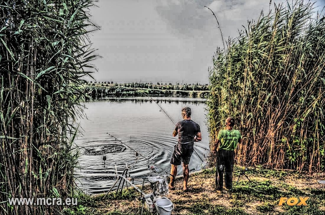 MeetCarp Romanian Awards 2013 (4) - mcr0540hdrmode2.jpg